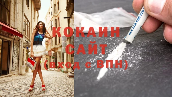 прущие крисы Бородино