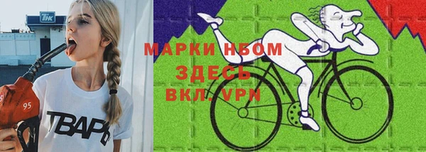 прущие крисы Бородино