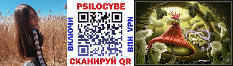 Купить  Горняк  Псилоцибиновые грибы Psilocybine cubensis 